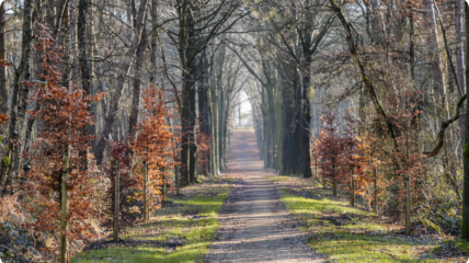 Lentewandeling